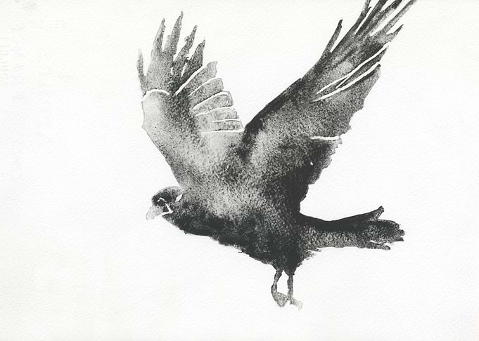 Crow watercolor painting