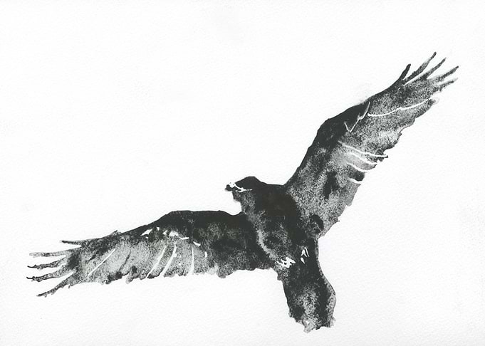 Crow watercolor painting