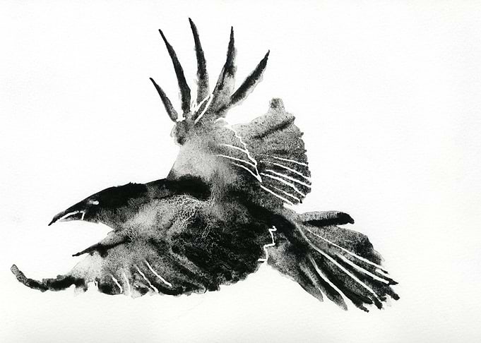 Crow watercolor painting