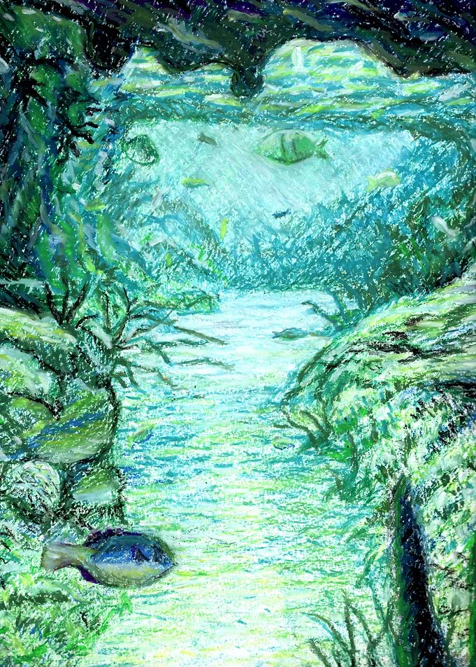 Under the Sea