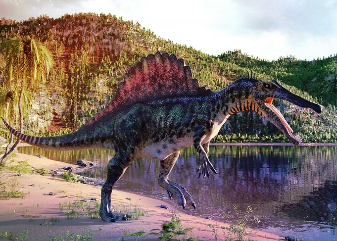 Spinosaurus dinosaur