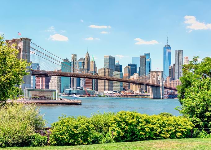 Summer In New York City