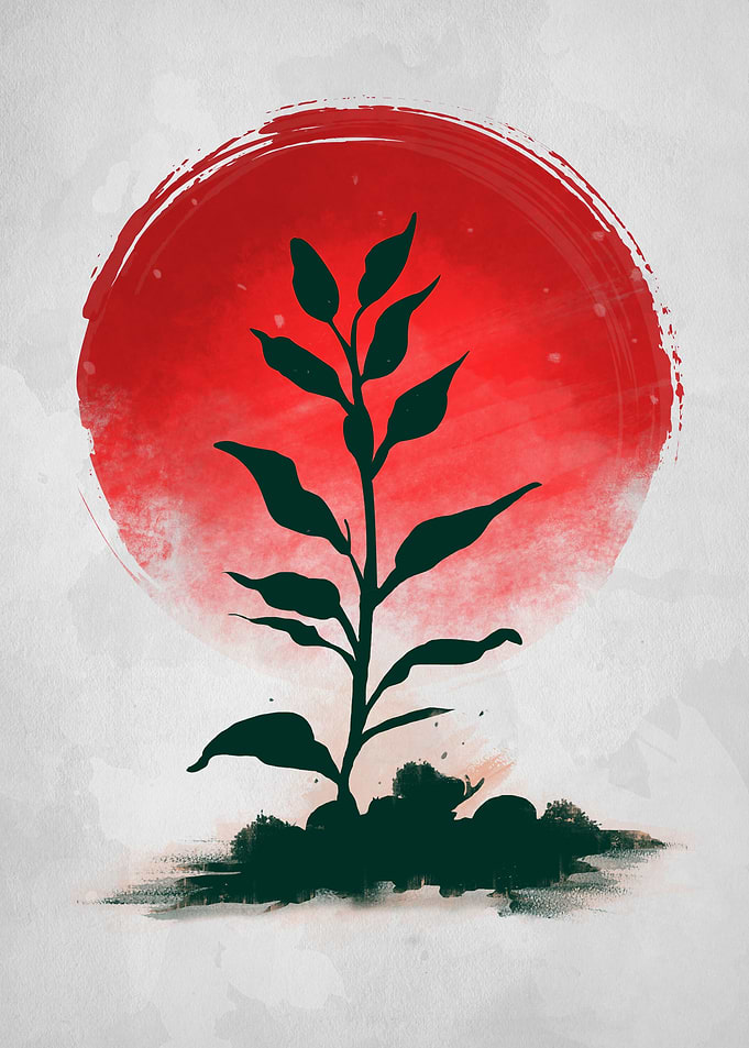 Red sun nature