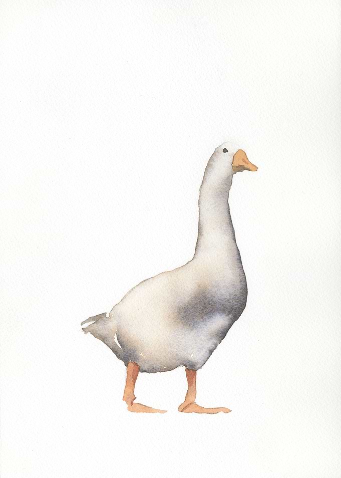 Goose watercolor painting
