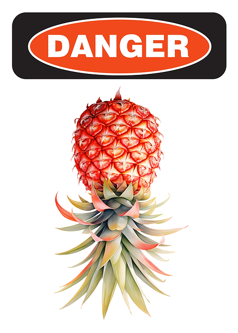 Upside Down Pineapple — funny metal wall sign
