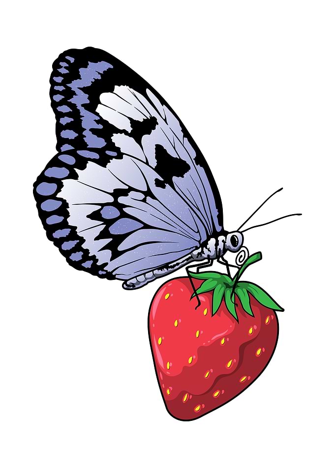 Butterfly Strawberry
