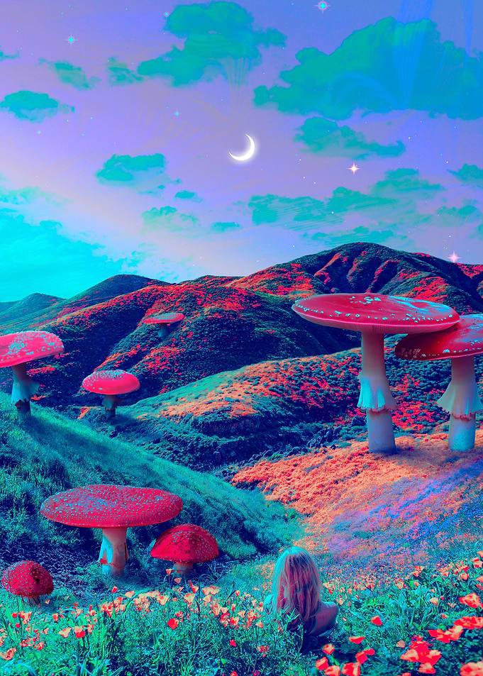 Amanita Mushroom Dreams