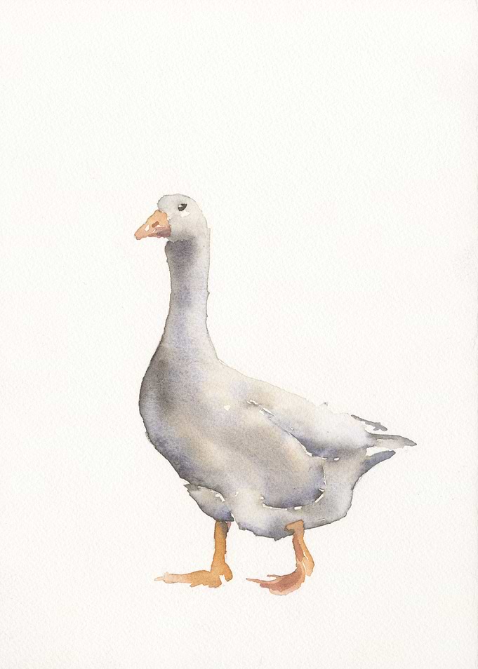 Goose watercolor painting