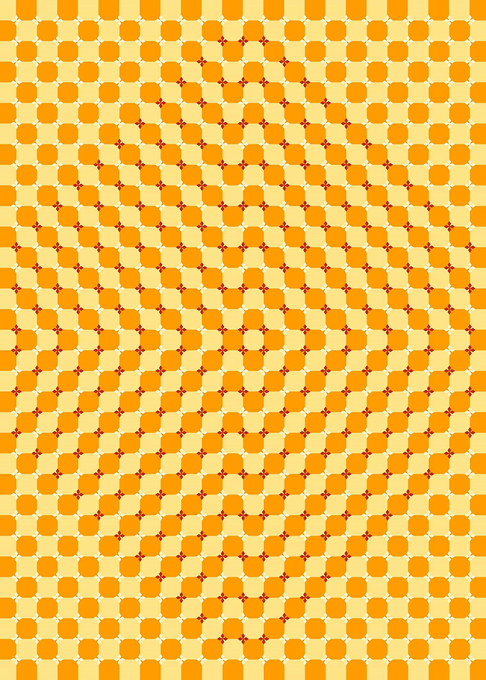 Circle Rectangle Illusion