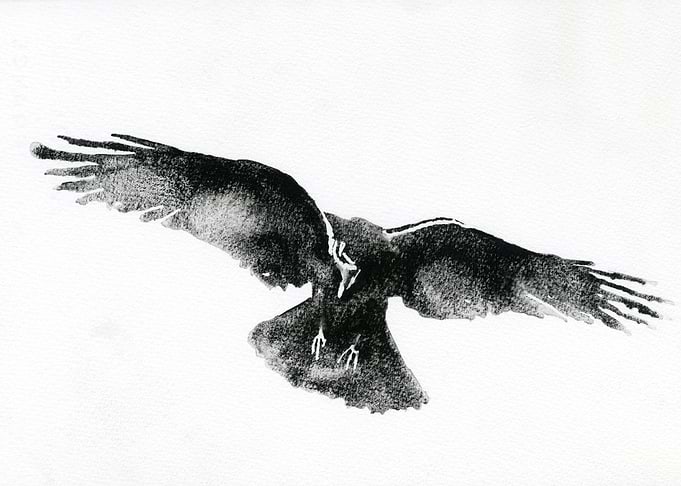 Watercolor painting crow