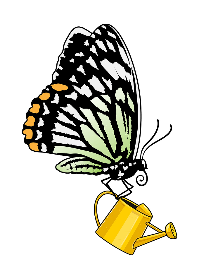 Butterfly Watering can
