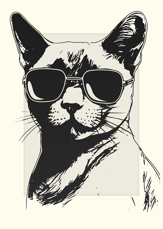 Burmese Cat Illustration