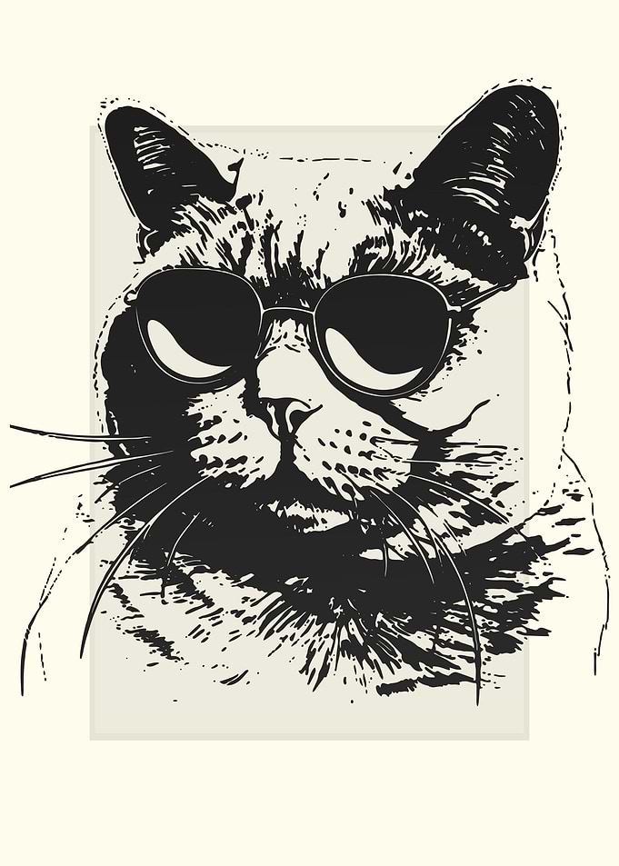 British Shorthair Cat