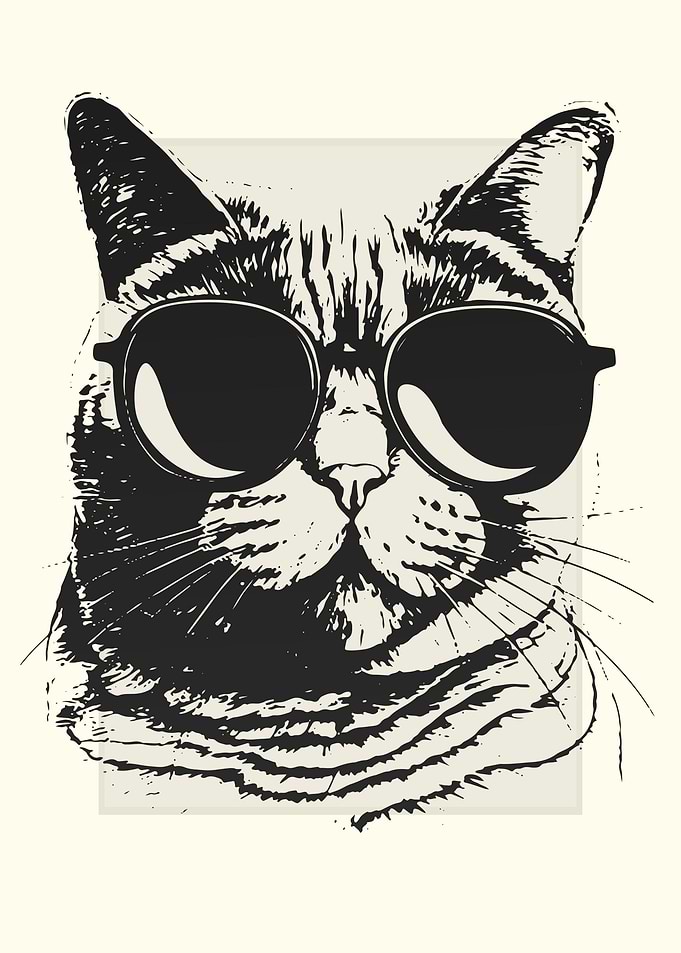 British Shorthair Cat