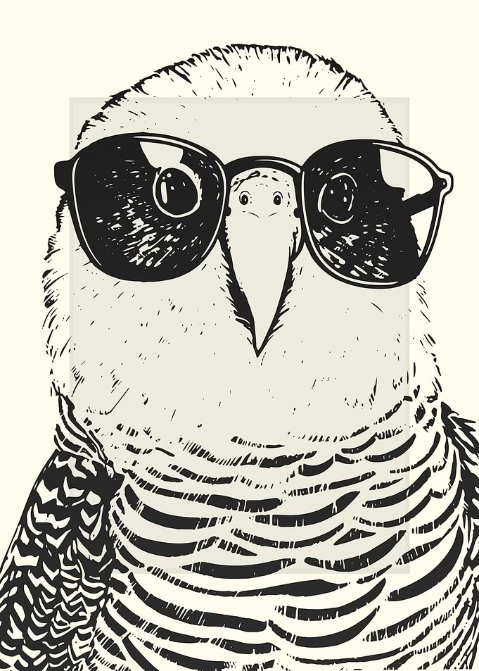 Budgie Illustration