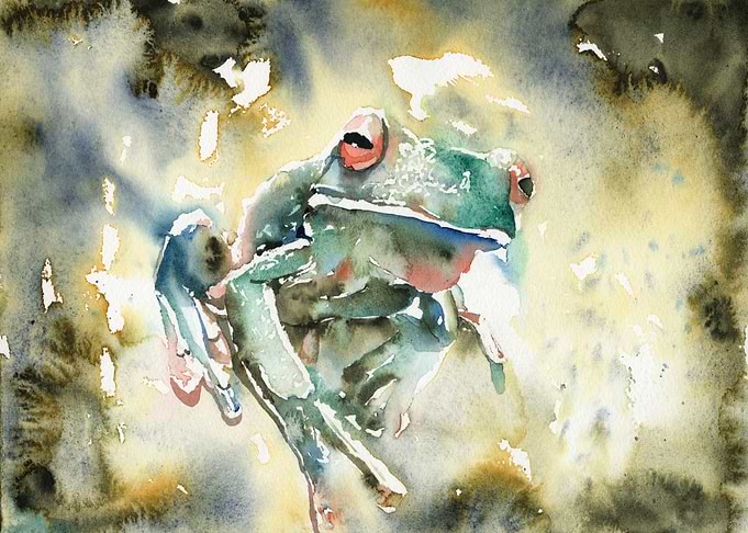 Watercolor painting frog