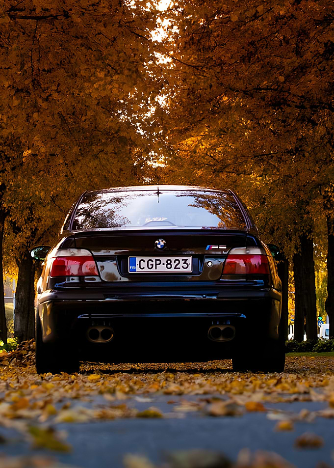 Bmw M5