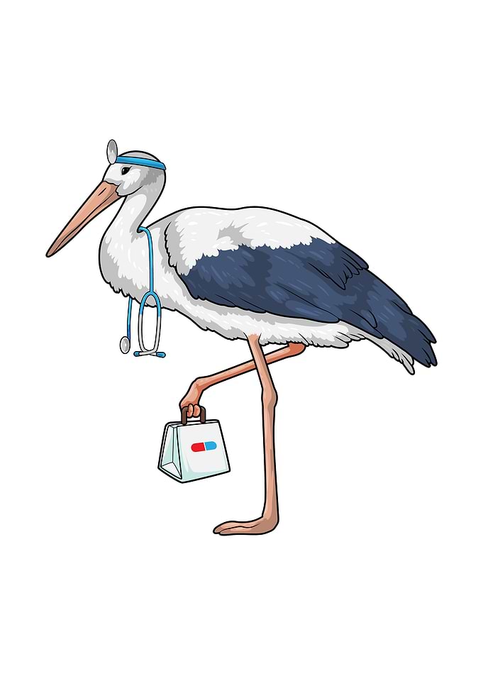 Stork Doctor Stetoscope