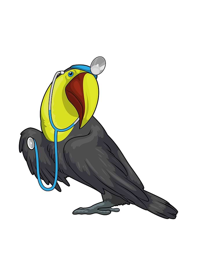 Toucan Doctor Stethoscope