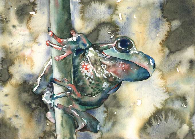 Watercolor painting frog