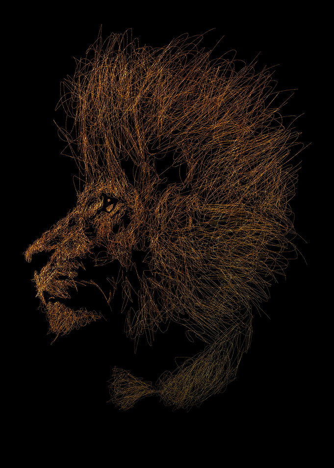 Lion Scribble Art