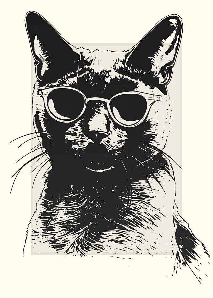 Burmese Cat Illustration