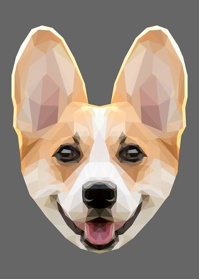 Low Poly Corgi Dog