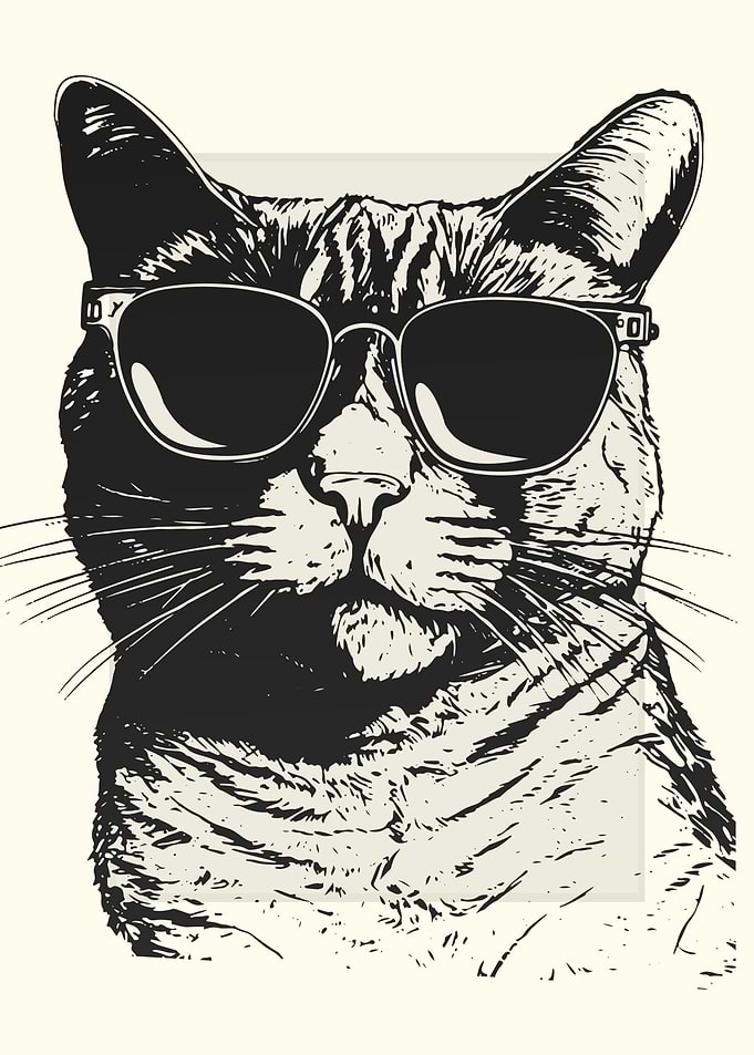 Burmilla Cat Illustration