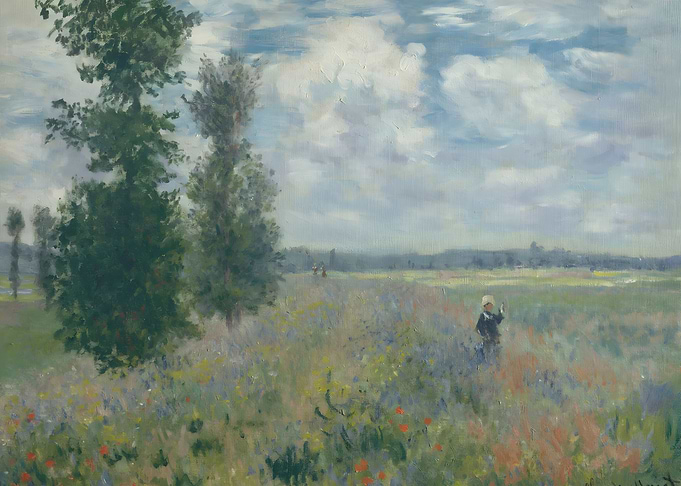 Poppy Fields
