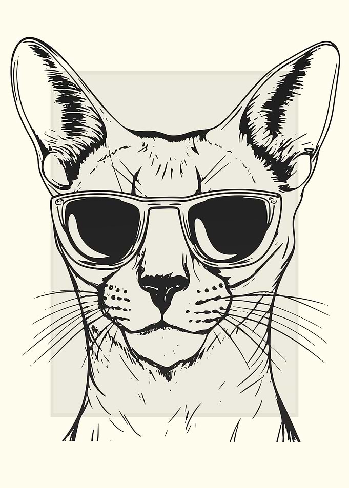 Caracal Illustration