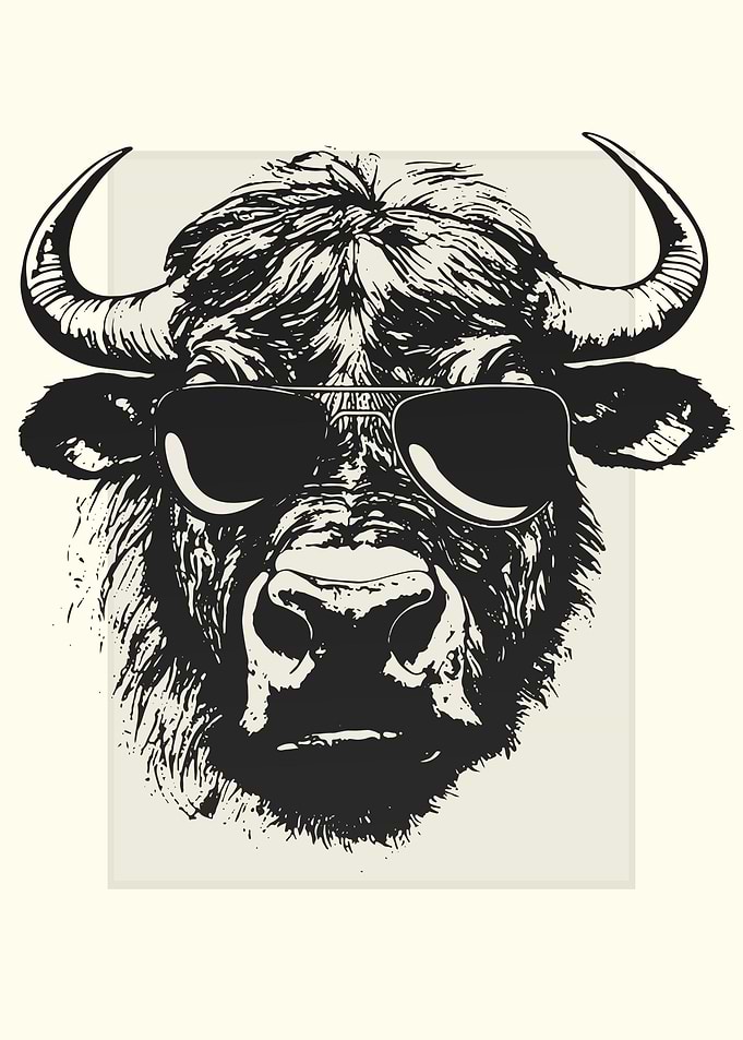 Cape Buffalo Illustration