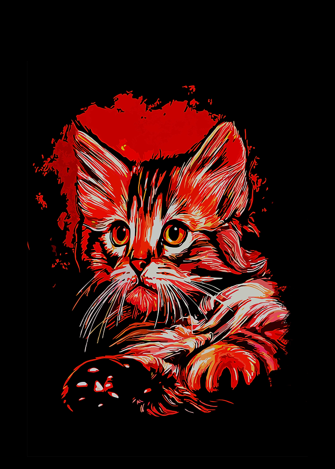 Cat Animal