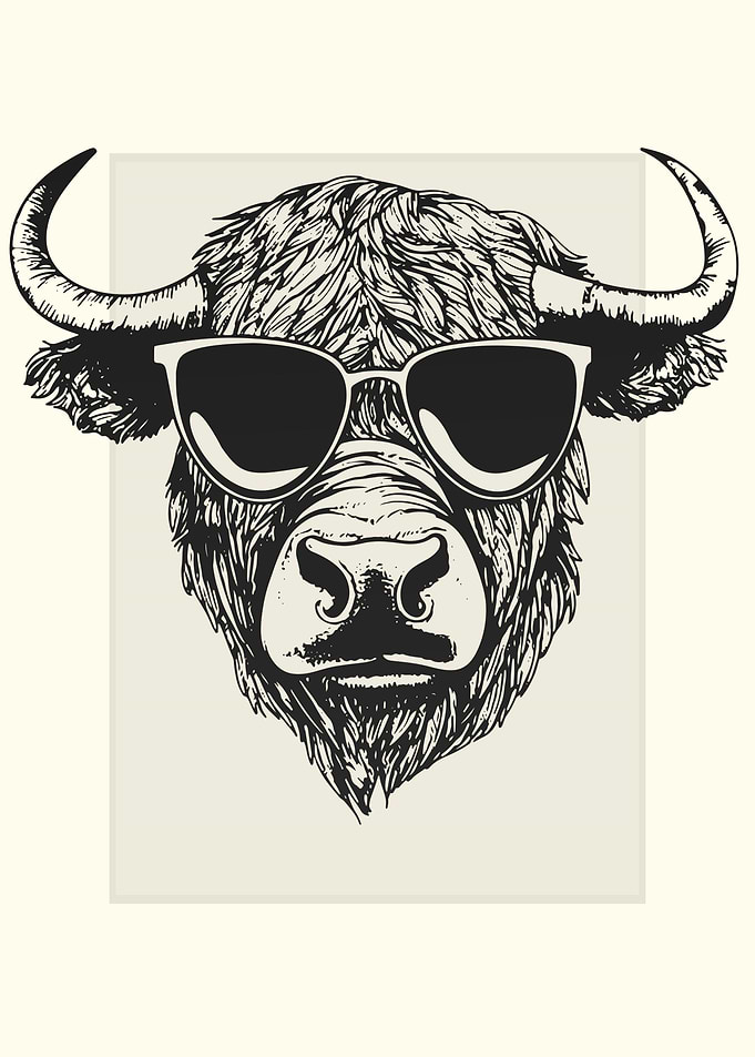 Cape Buffalo Illustration