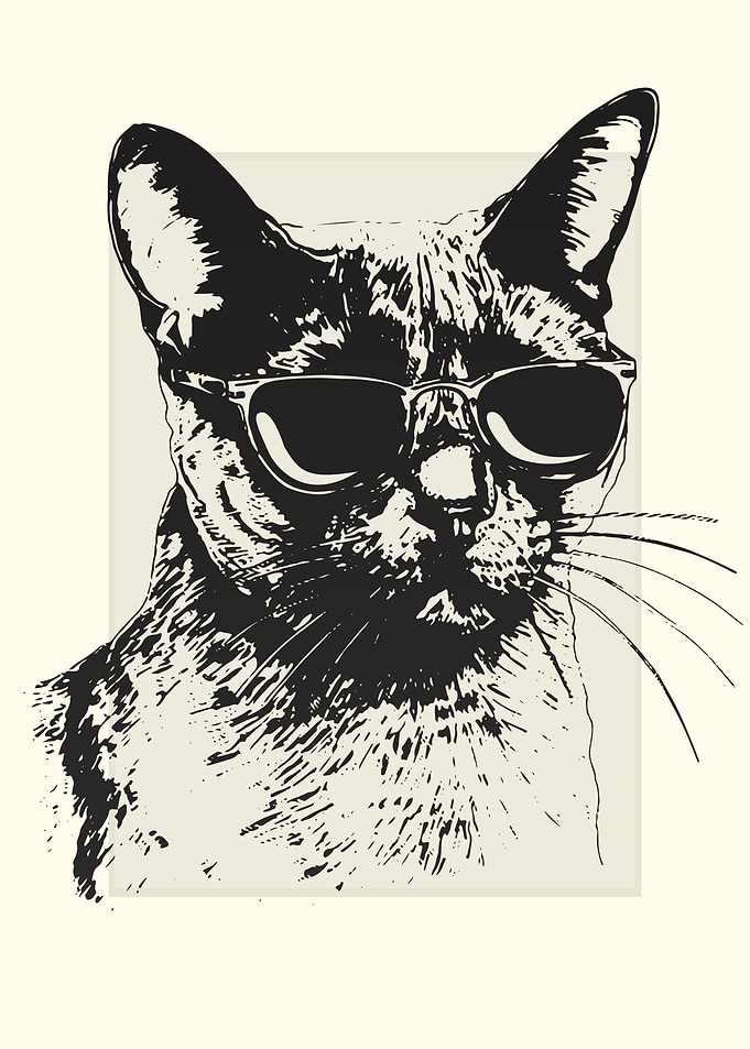 Burmese Cat Illustration