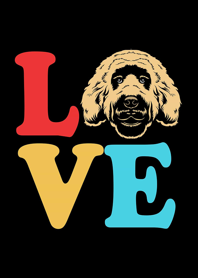 Goldendoodle Dog Love