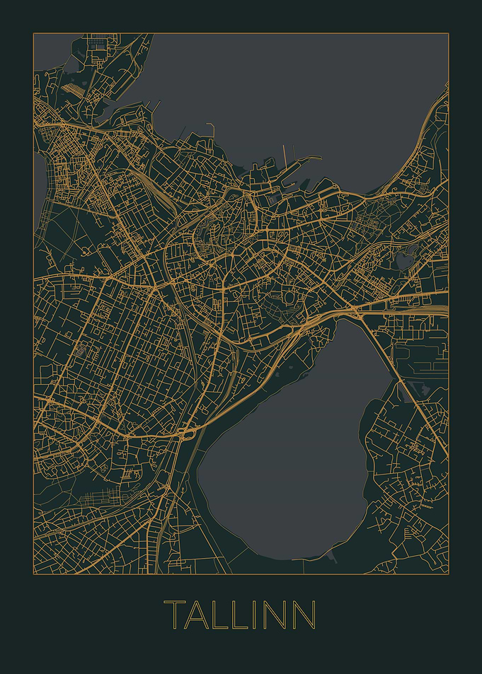 Tallinn Gray Orange Map