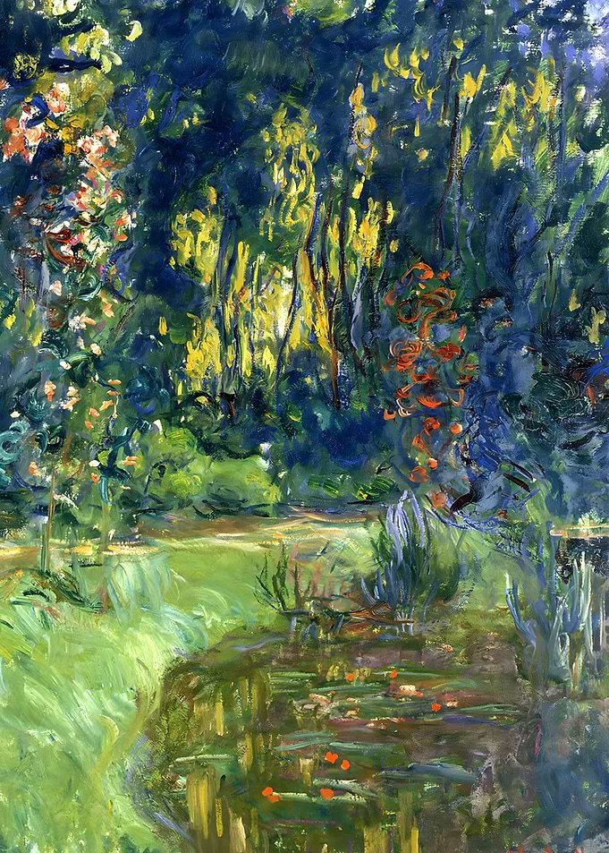 The Water Lily Pond