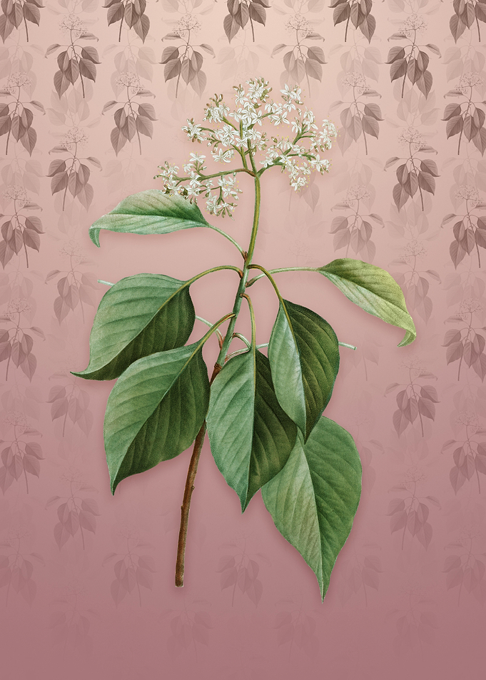 Vintage Pagoda Dogwood
