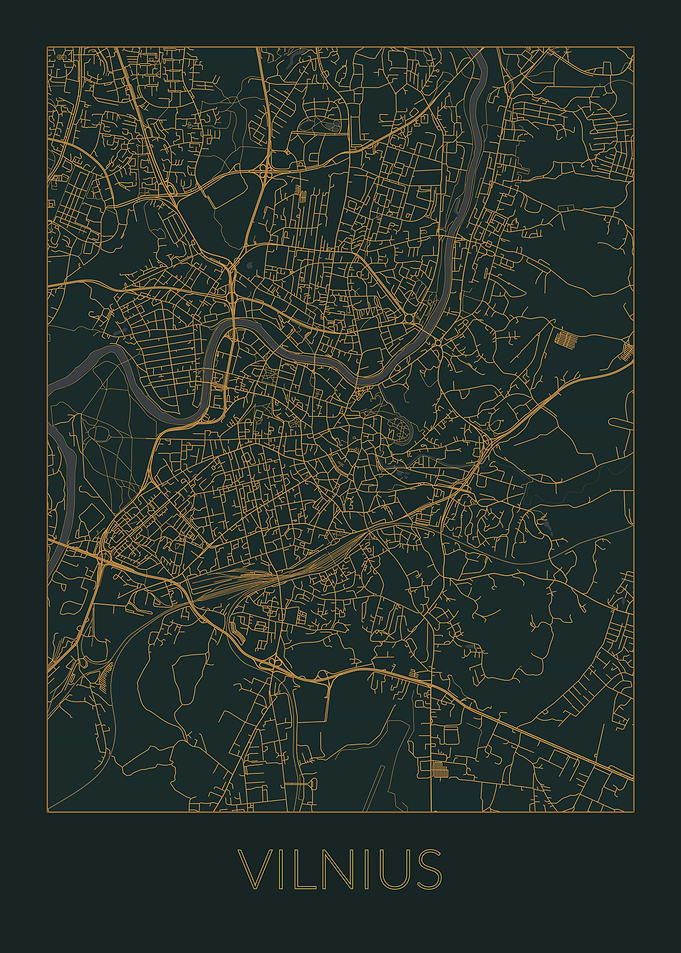 Vilnius Gray Orange Map