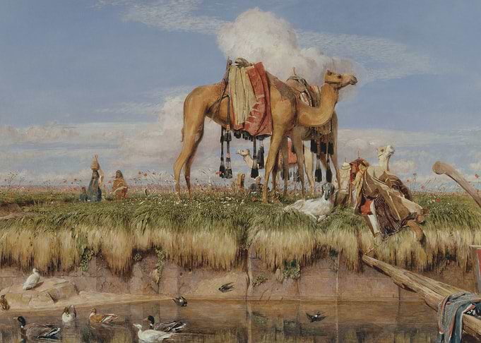 On the Banks of the Nile