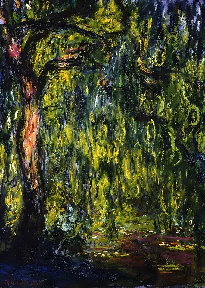 Weeping Willow