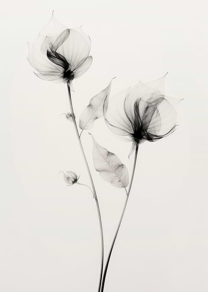 Transparent Botanic No 7