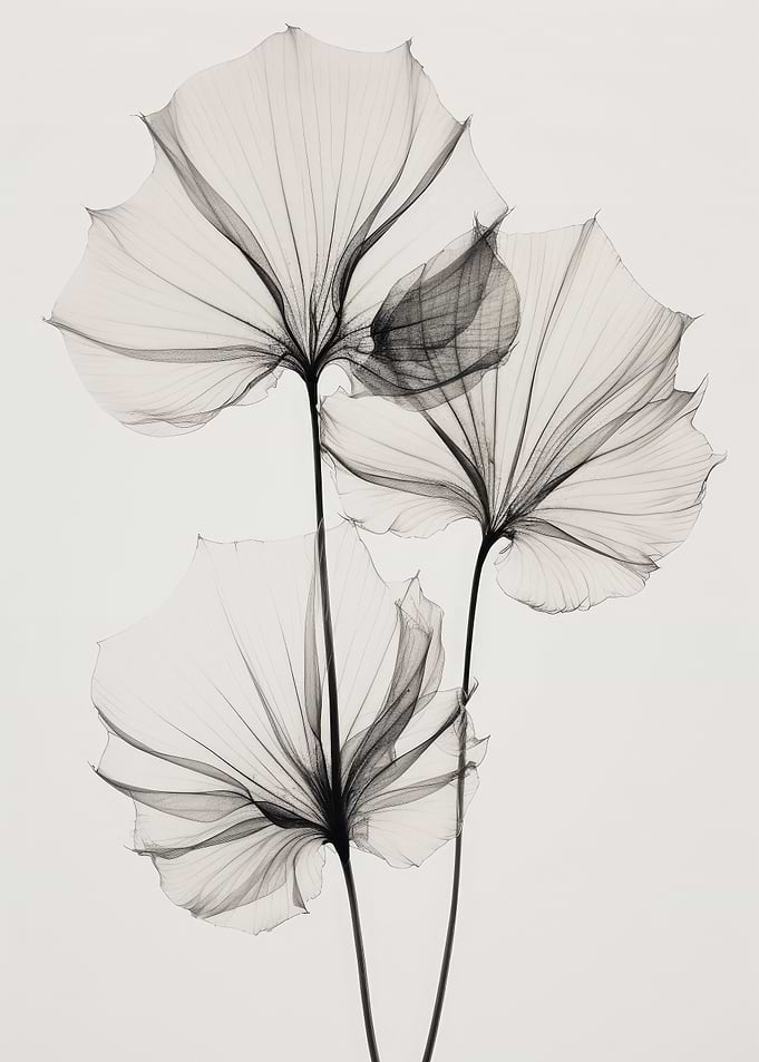 Transparent Botanic No 3