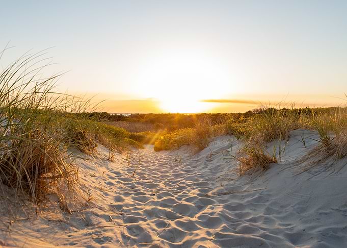 Beach Sunset