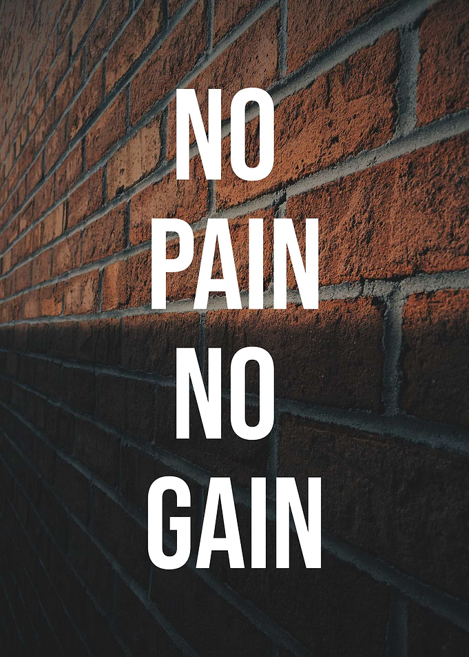 Gym Brick No Pain No Gains