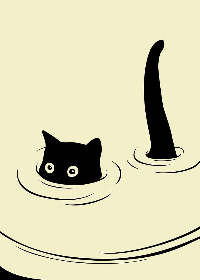 Swimming Cat