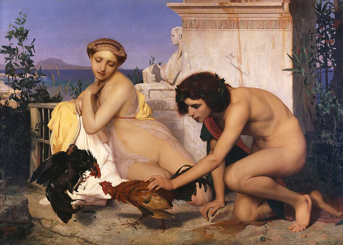 Attending a Cock Fight