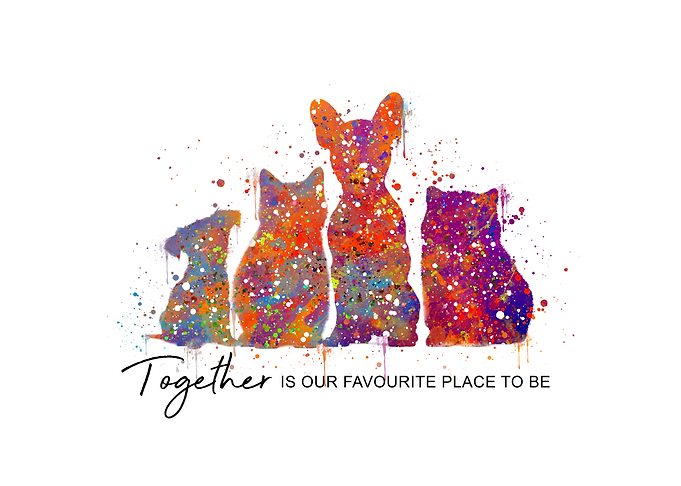 Dog Cat Friendship