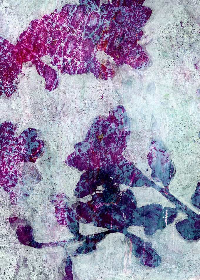 Under the Purple Oak Tree