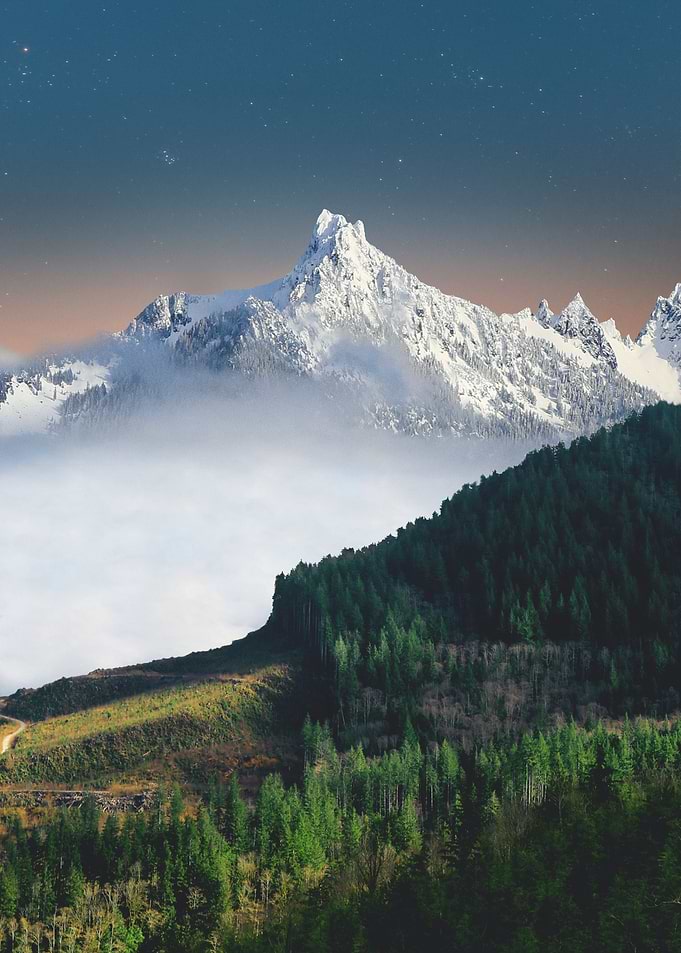 Snowy Mountains in Forest